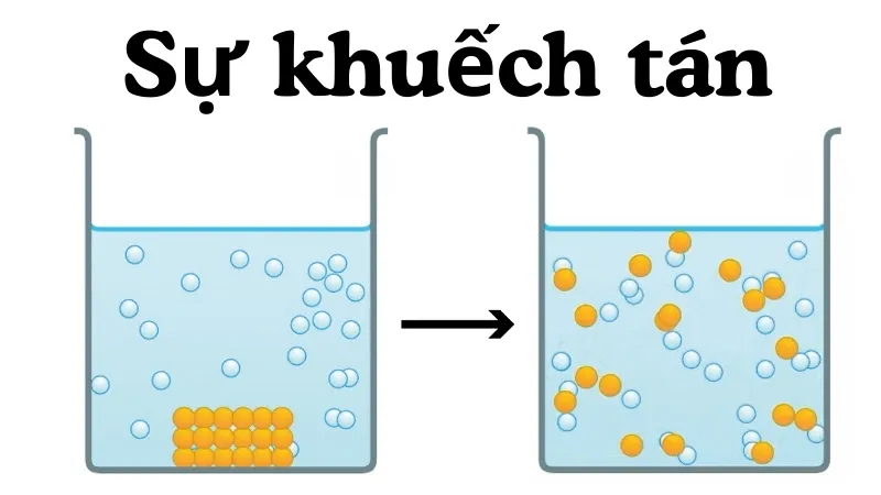 Sự khuếch tán là gì?