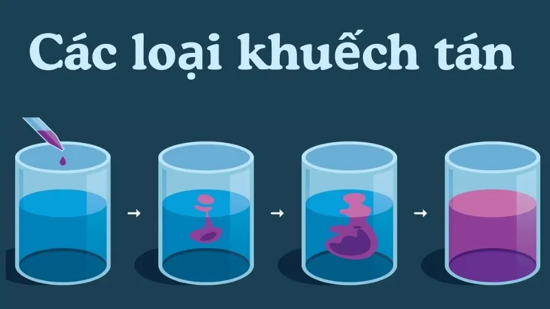 Các loại khuếch tán