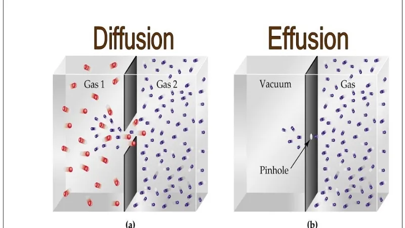 Sự khác biệt giữa thẩm thấu và khuếch tán
