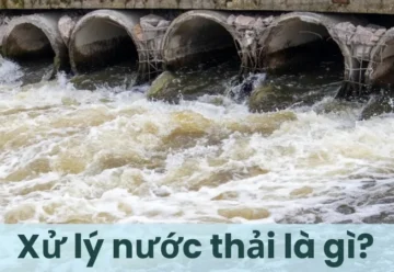 Xử lý nước thải là gì? Quy trình xử lý nước thải hiện đại