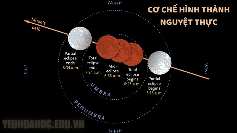 Cơ chế hình thành nguyệt thực