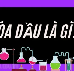 Hóa dầu là gì? Hóa dầu có ảnh hưởng gì đến môi trường?