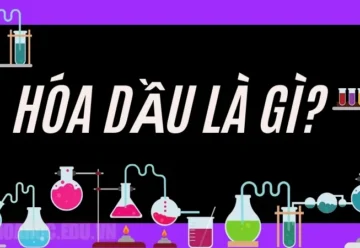 Hóa dầu là gì? Hóa dầu có ảnh hưởng gì đến môi trường?