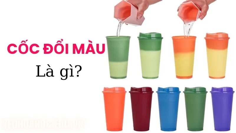 Cốc đổi màu là gì?  