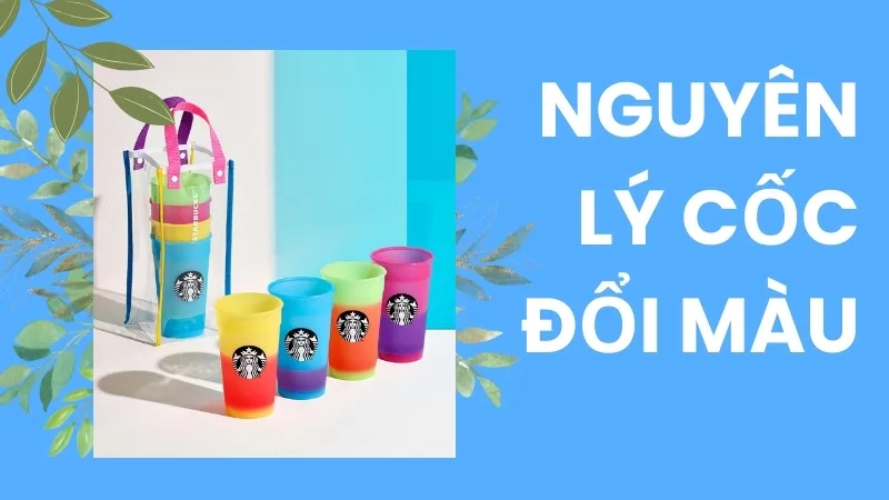 Nguyên lý của cốc đổi màu