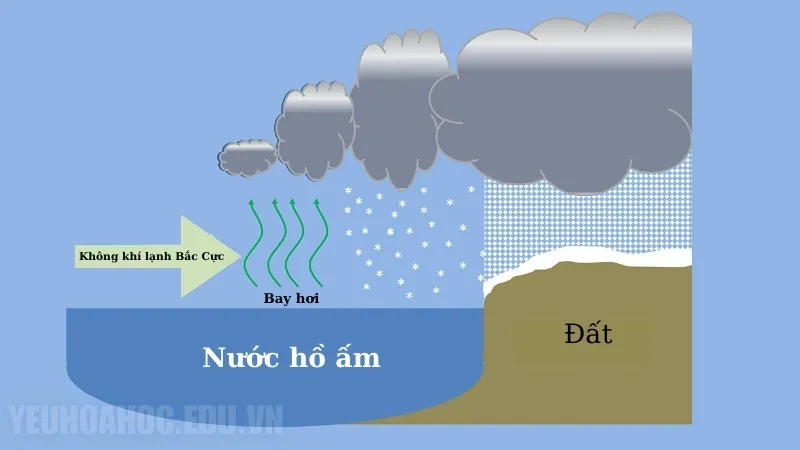 Quá trình hình thành tuyết