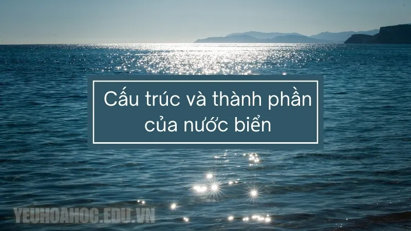 Cấu trúc và thành phần của nước biển